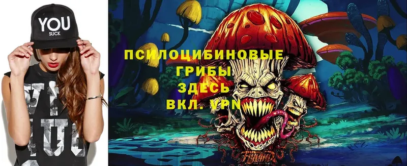 закладки  кракен ССЫЛКА  Галлюциногенные грибы Cubensis  Новочебоксарск 